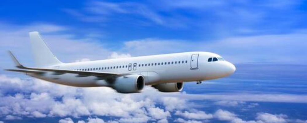 Southwest Pet Travel Guideline